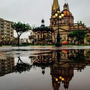 Meet your Posher, Carmen